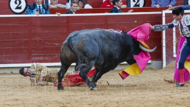 Tremendo susto y dos orejas para Sergio Serrano en el cuarto de la tarde en Albacete / Fotos: Ángel Chacón