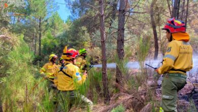 Bomberos forestales en Castilla-La Mancha
