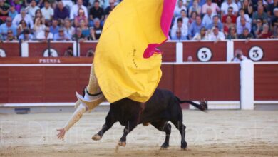 Cogida de Juan Leal en Albacete