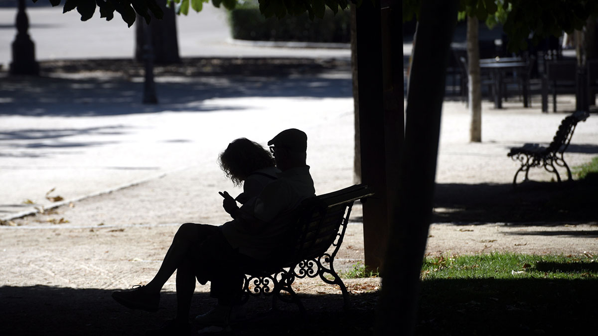 Descanso a la sombra en Albacete