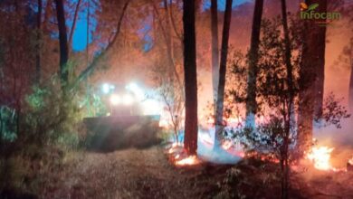 Incendio forestal en Riópar (Albacete)