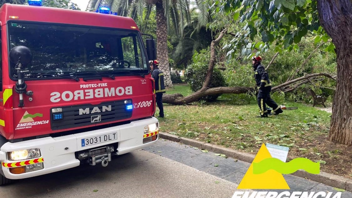 Herida una mujer tras el desplome de un árbol en Castilla-La Mancha / Emergencias Ciudad Real