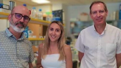 Investigadores de Albacete responsables del estudio