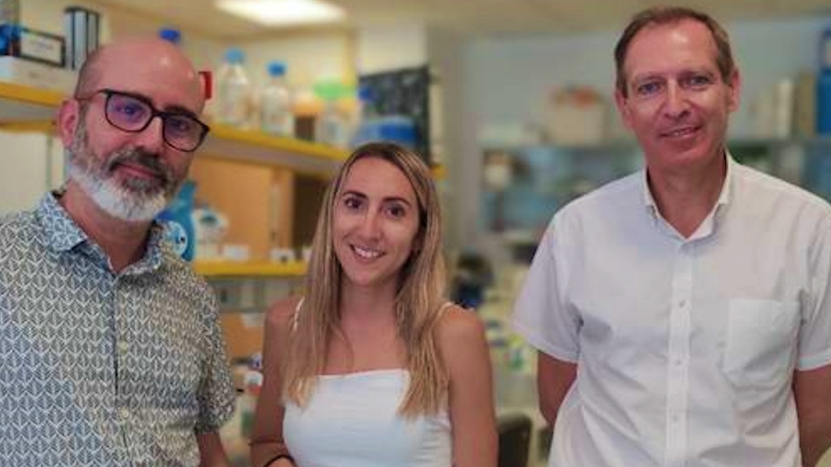 Investigadores de Albacete responsables del estudio