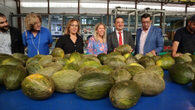 El Gobierno de Castilla-La Mancha relanzará la Interprofesional del Melón y la Sandía / JCCM