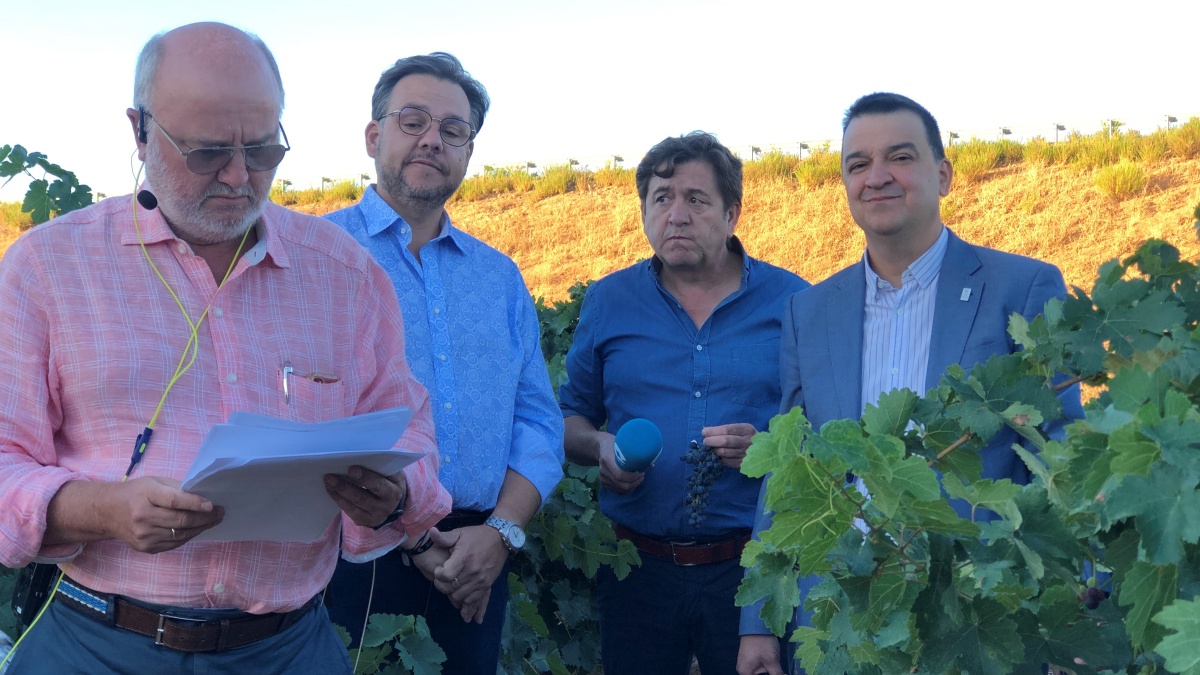 El Gobierno regional inyectará cerca de 600.000 euros para impulsar la mejora de esta bodega en Castilla-La Mancha /JCCM