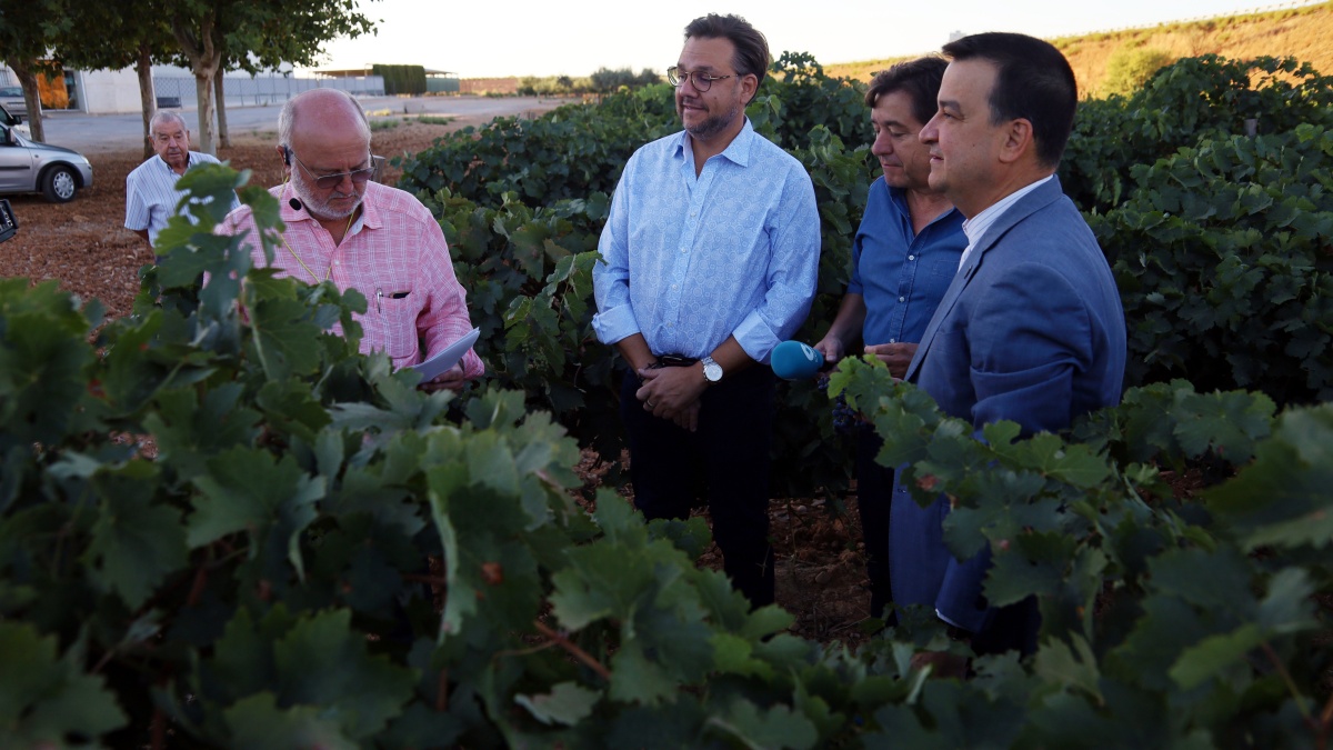 El Gobierno regional inyectará cerca de 600.000 euros para impulsar la mejora de esta bodega en Castilla-La Mancha /JCCM