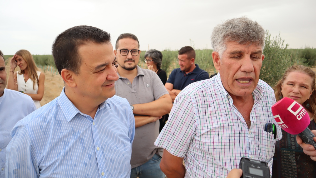 El Gobierno regional abona en octubre nueve millones de euros a los 1.078 olivicultores afectados por Filomena para hacer frente a los gastos / JCCM