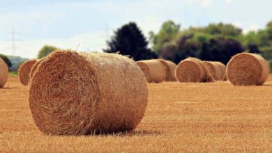 Suceso en Castilla-La Mancha