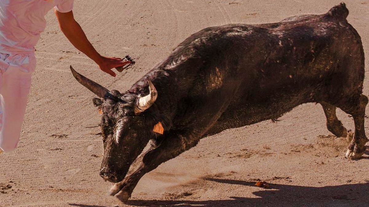 Festejo taurino popular / FOTO DE ARCHIVO / Castilla-La Mancha