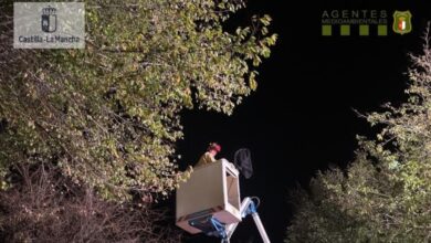 Capturado un mono en Castilla-La Mancha / Foto: Agentes Medioambientales JCCM