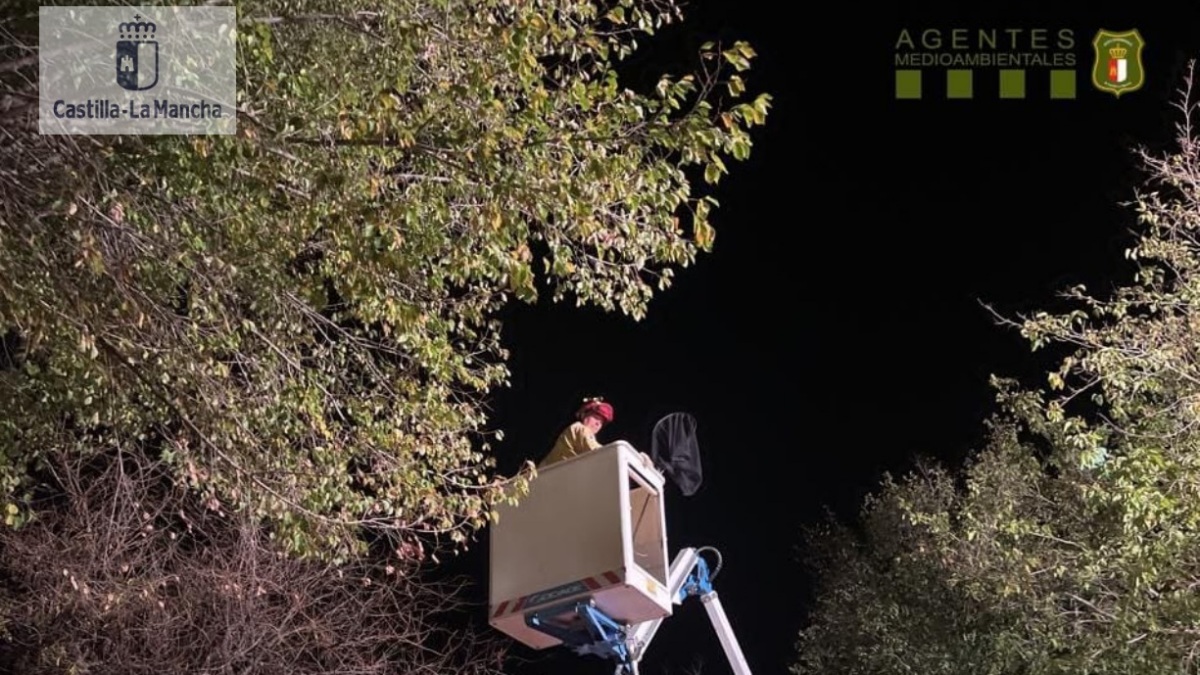 Capturado un mono en Castilla-La Mancha / Foto: Agentes Medioambientales JCCM