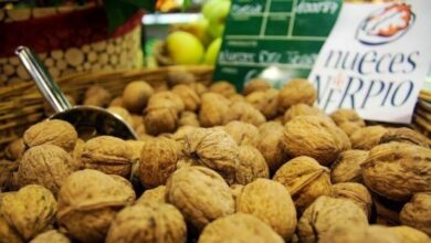 Nueces de Nerpio (Albacete) - Foto: JCCM