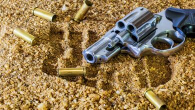 Tiroteo en Castilla-La Mancha / Foto de archivo / Pixabay