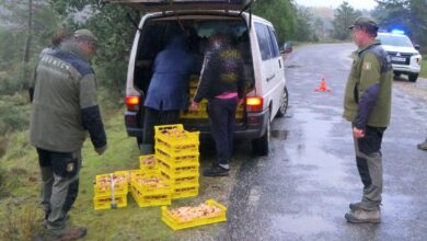 Intervención en Castilla-La Mancha contra la recogida ilegal de setas y hongos / FOTO: AAMM de Castilla-La Mancha