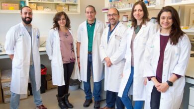 Investigadores de Castilla-La Mancha