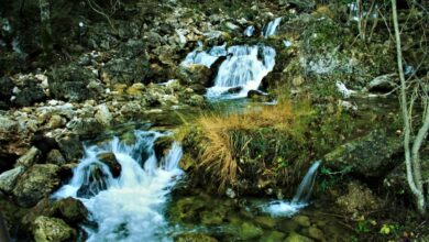 Río Mundo - Albacete - TRAGSA