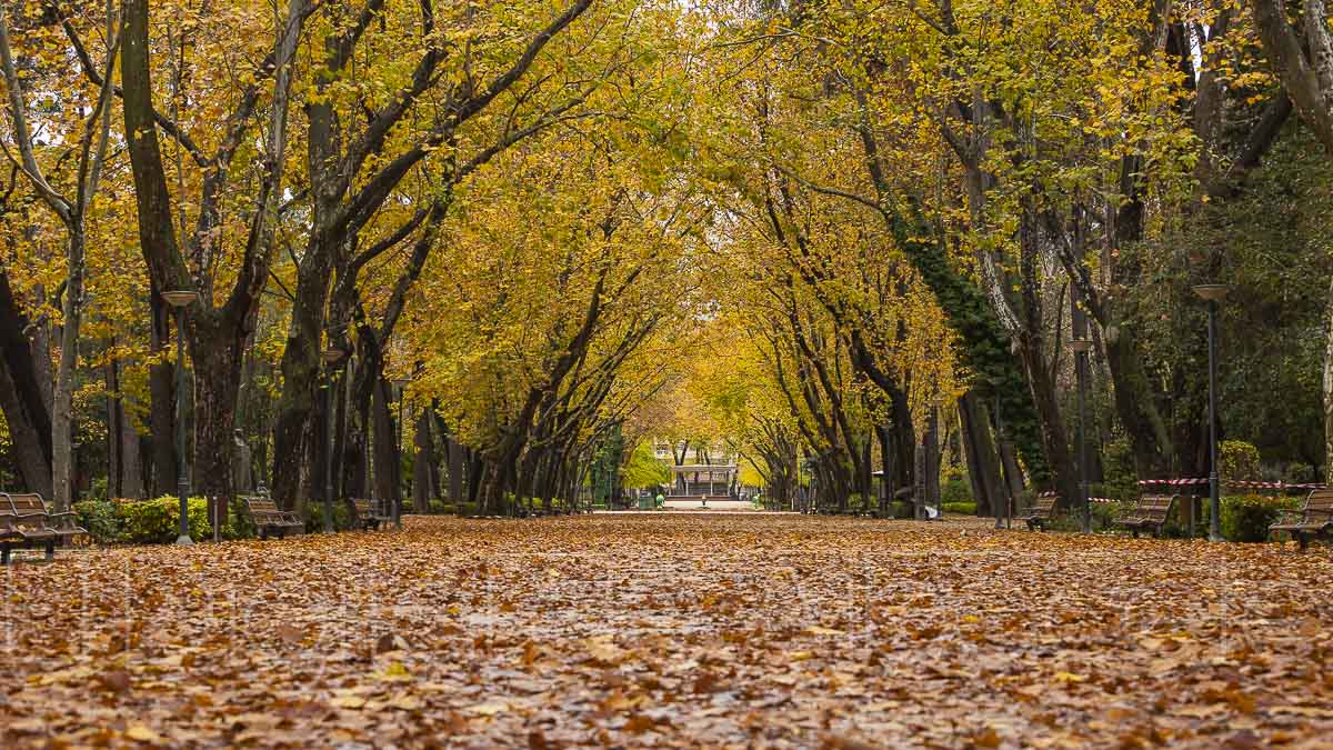 Parque Abelardo Sánchez de Albacete