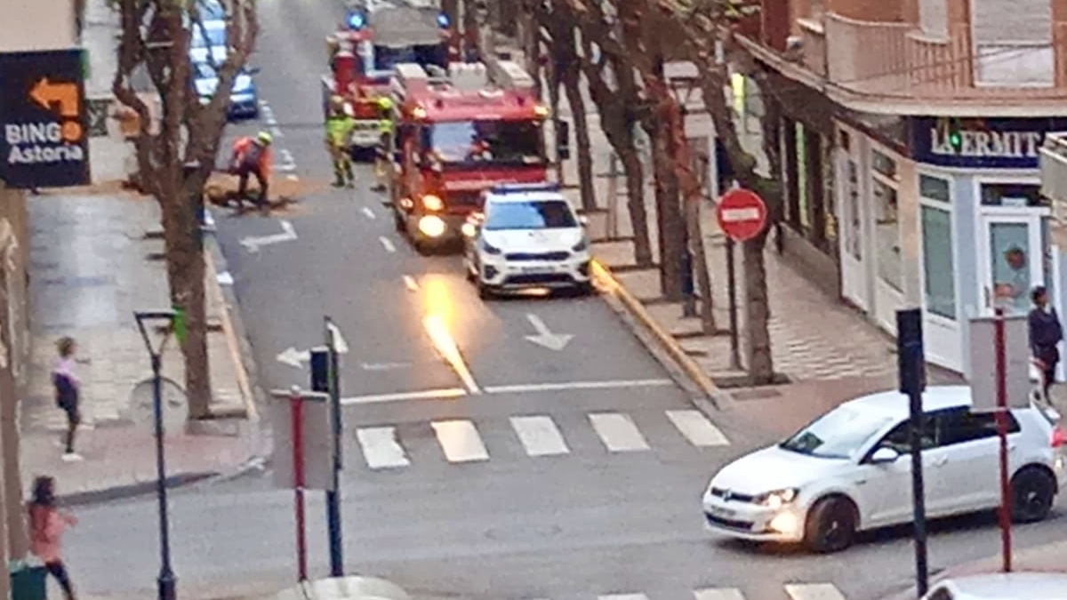 Bomberos y Policía Local de Albacete