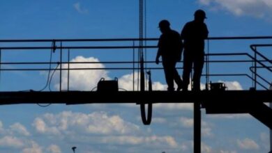 Trabajadores / Foto: MINISTERIO DE TRABAJO Y ECONOMÍA SOCIAL