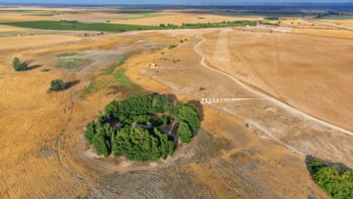 Foto área del yacimiento de El Acequión // Imagen: Ayuntamiento de Albacete