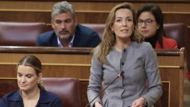 Carmen Navarro - Foto: Congreso / Europa Press