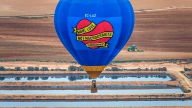 Greenpeace ha sobrevolado la macrogranja de cerdos que CEFU, S.A. (El Pozo - Grupo Fuertes) tiene en Hellín (Albacete)