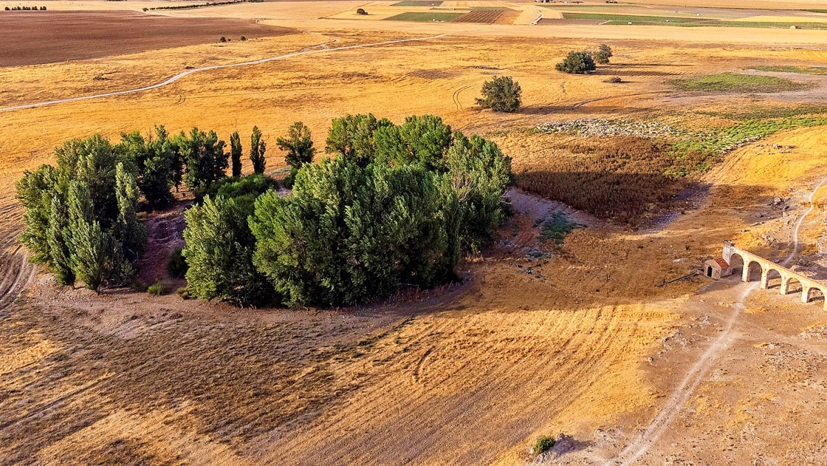 Yacimiento del Acequión en Albacete - Foto: Ayuntamiento