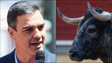 Foto Pedro Sánchez: Juan Manuel Serrano Arce / Europa Press