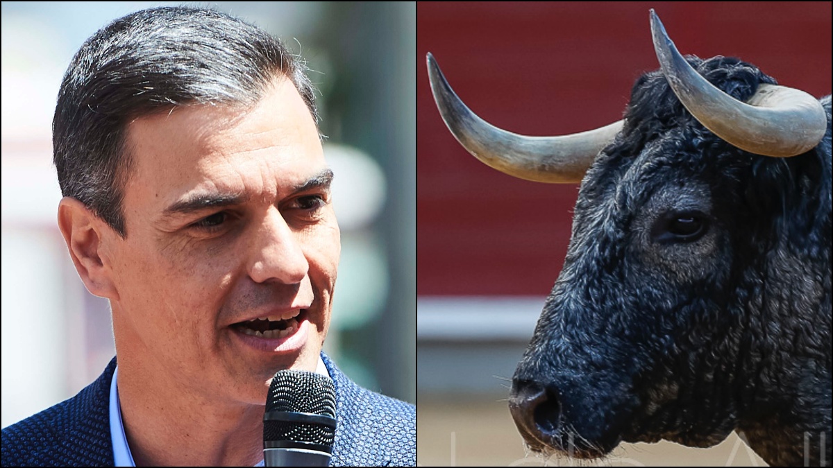 Foto Pedro Sánchez: Juan Manuel Serrano Arce / Europa Press