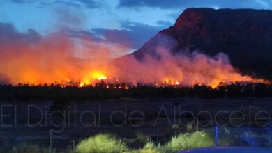 Incendio Mingogil (Hellín, Albacete)