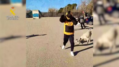 Investigación por maltrato animal en Albacete