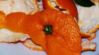 Cáscara de naranja - Pixabay