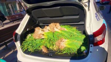 Venta ambulante ilegal en Albacete - FOTO DE ARCHIVO