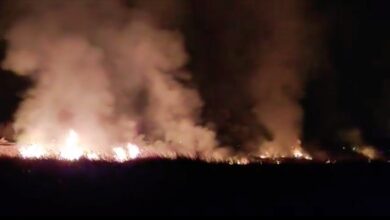 Incendio en Cordovilla (Tobarra, Albacete) / Fuente: Espe - MeteoHellín