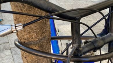 Bici de Albabici atada a un árbol - Foto: Policía Local de Albacete