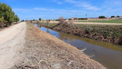 Canal de María Cristina - Ayuntamiento de Albacete
