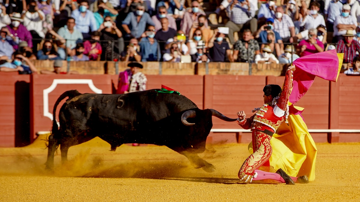 Foto: Eduardo Briones / Europa Press