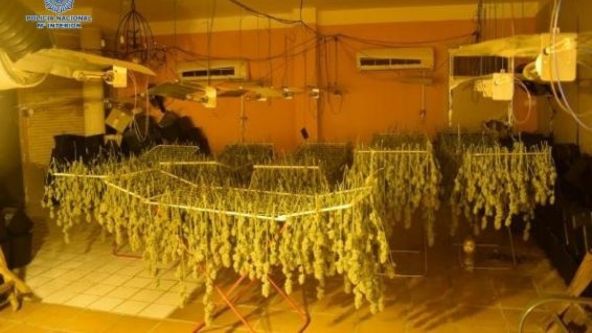 Desmantelados cuatro laboratorios de la droga en castilla-la mancha