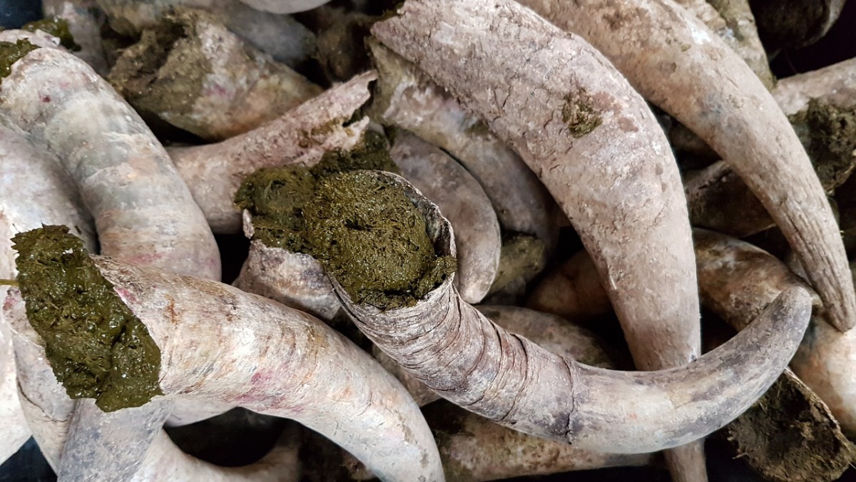 Agricultura Biodinámica - Pixabay