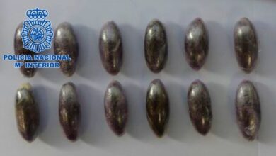 Bellotas de hachís - Policía Nacional