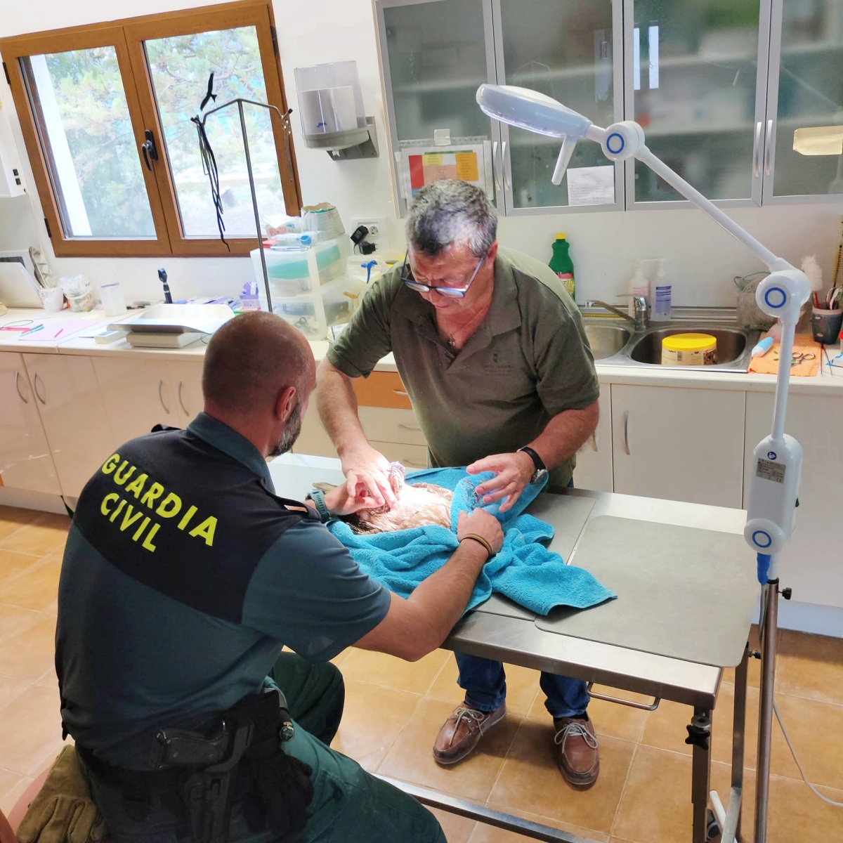 Fuente foto: Guardia Civil de Albacete