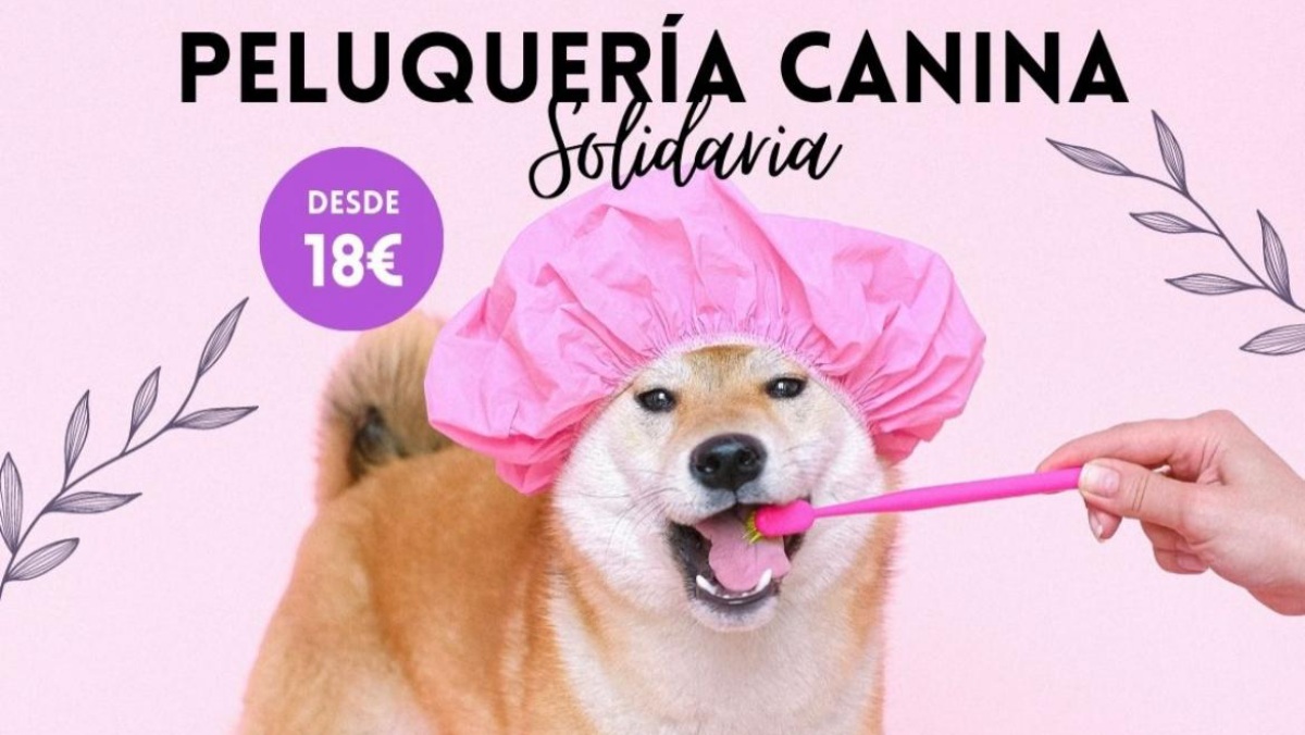 Cartel del evento, remitido por Dejando Huella Albacete