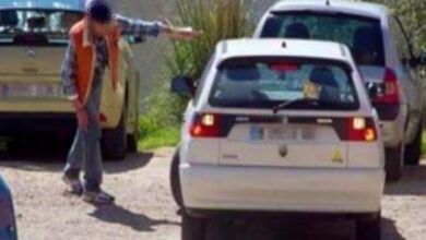 Gorrilla - Europa Press - Foto de archivo - Albacete