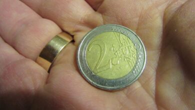 Moneda de 2 euros / Pixabay