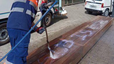 Pintadas en Albacete