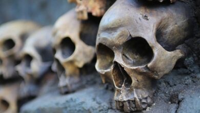 Foto de archivo - Pixabay