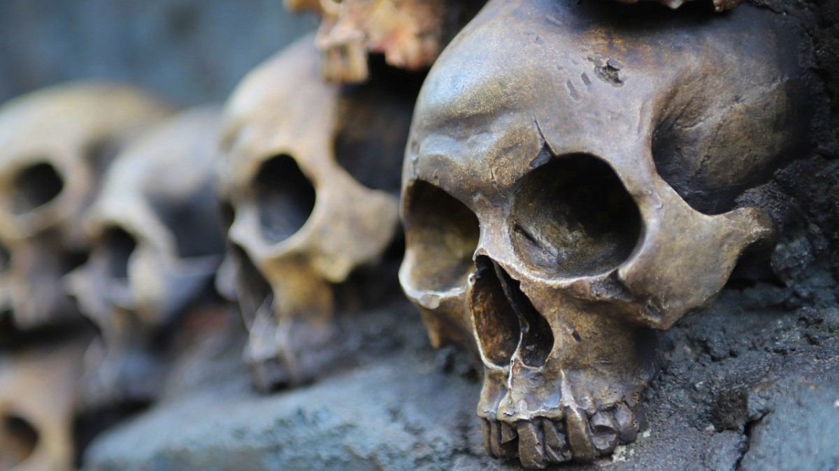 Foto de archivo - Pixabay