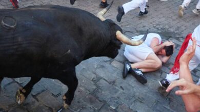 Foto: Eduardo Sanz / Europa Press