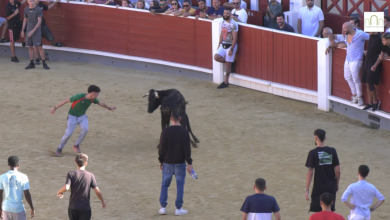 Vaquillas en la Feria de Albacete